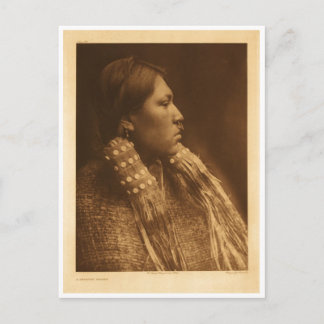 Native American Indian Vintage Portrait Postcard