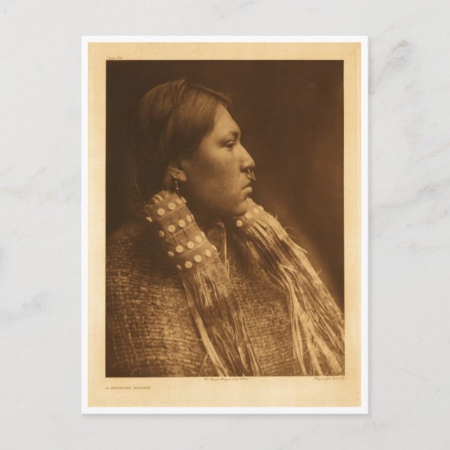 Native American Indian Vintage Portrait Postcard (Front)