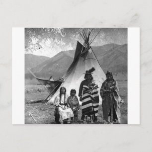 Native American Indian Vintage Portrait Postcard
