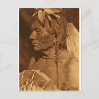 Native American Indian Vintage Portrait Postcard
