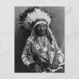 Native American Indian Vintage Portrait Postcard