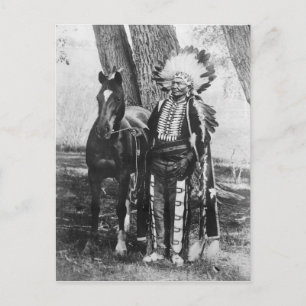 Native American Indian Vintage Portrait Postcard