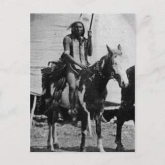 Native American Indian Vintage Portrait Postcard