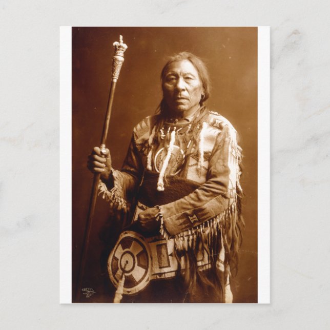 Native American Indian Vintage Portrait Postcard (Front)