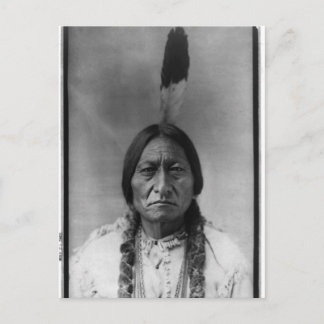 Native American Indian Vintage Portrait Postcard