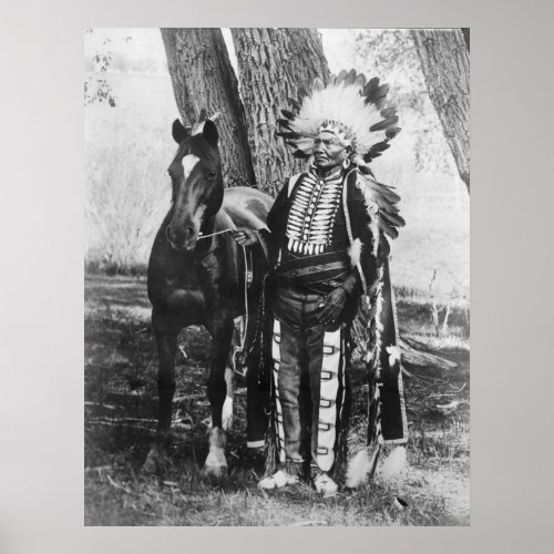 Native American Indian Vintage Portrait Poster