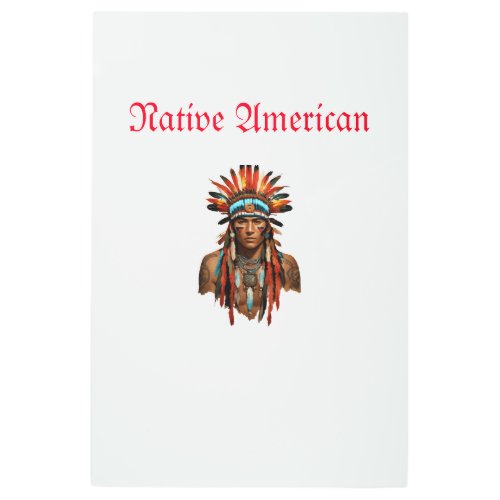 Native American Metal Print