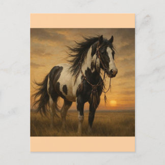 Native American Paint Horse Postcard - Kangee