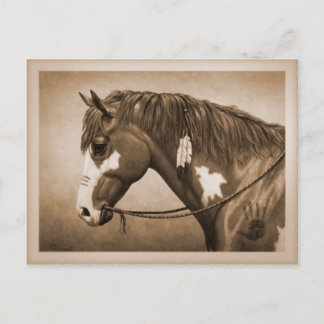 Native American Pinto War Horse Vintage Style Postcard