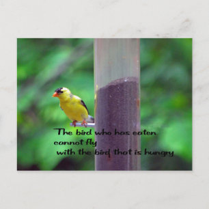 Native American Proverb Postcard