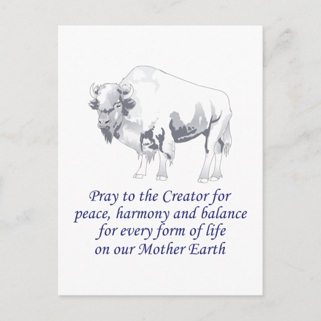 Native American Symbolism Postcard (Front)