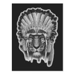 Native American Tiger Chief Postcard