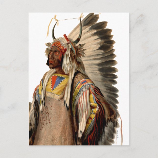 Native American Tribal Indian Chief Head Dress Postcard (Front)