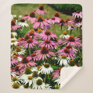 Native Americans, who applied root escapes to woun Sherpa Blanket