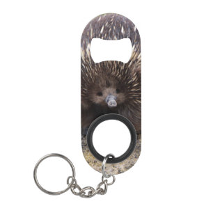 Native Australian Wild Echidna Photo Keychain Bottle Opener