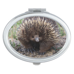 Native Australian Wild Echidna Photo Makeup Mirror