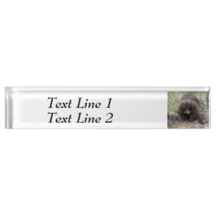 Native Australian Wild Echidna Photo Name Plate