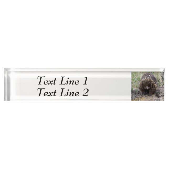 Native Australian Wild Echidna Photo Name Plate (Front)