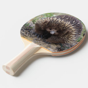 Native Australian Wild Echidna Photo Ping-Pong Paddle