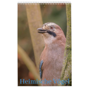 Native Birds Calendar