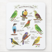 Native Birds in the Philippines