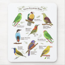 Native Birds in the Philippines