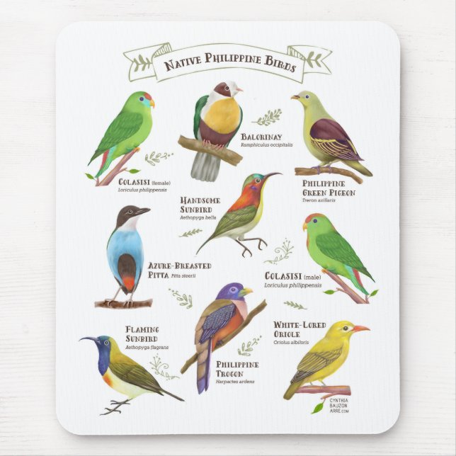 Native Birds in the Philippines Mouse Pad (Front)