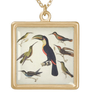 Native birds, including the Toucan (centre), Amazo Gold Plated Necklace
