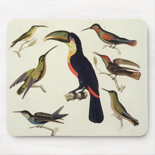 Native birds, including the Toucan (centre), Amazo Mouse Pad (Front)