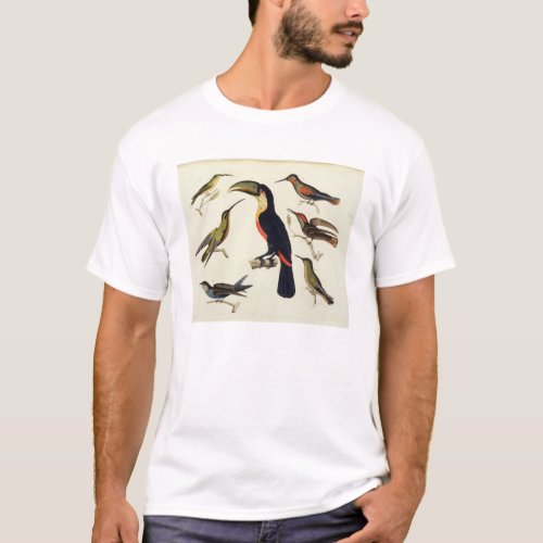 Native birds including the Toucan centre Amazo T_Shirt