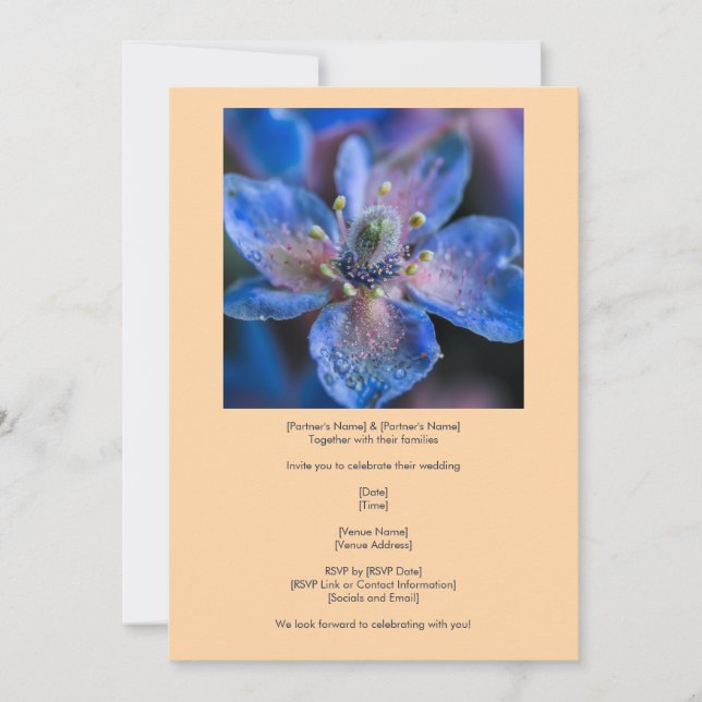 Native Blue Borage Bloom On Peach  Invitation (Front)