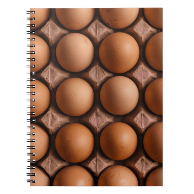 Native egg lot notebook (Front)