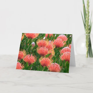 Native flowers, Cape Town South Africa Holiday Card