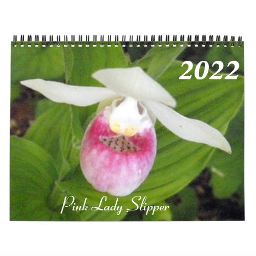 Native Garden 2022 Calendar
