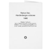 Native lilac Card (Back)