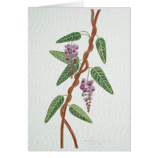 Native lilac Card (Front)