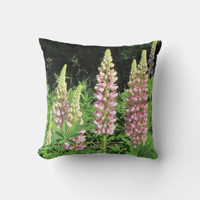 Native Minnesota Pink Lupine Throw Pillow (Front)