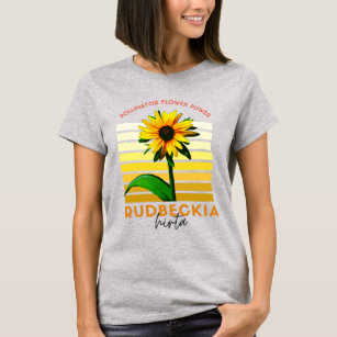 Native Plant Rudbeckia Hirta Black Eyed 