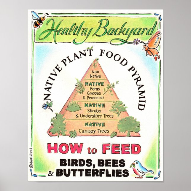 Native Plants Feed Birds, Bees and Butterflies Poster (Front)