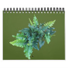 Native Plants - Pacific northwest