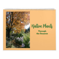 Native Plants Through the Seasons