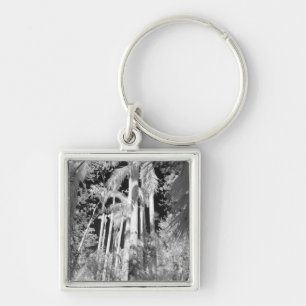 Native Royal Palms in Fakahatchee Strand, Keychain