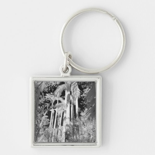 Native Royal Palms in Fakahatchee Strand, Keychain (Front)