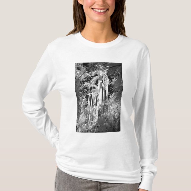 Native Royal Palms in Fakahatchee Strand, T-Shirt (Front)