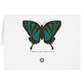Native Swallowtail Card (Back Horizontal)