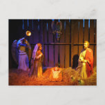 Nativity Scene Christmas Display in Washington DC Holiday Postcard