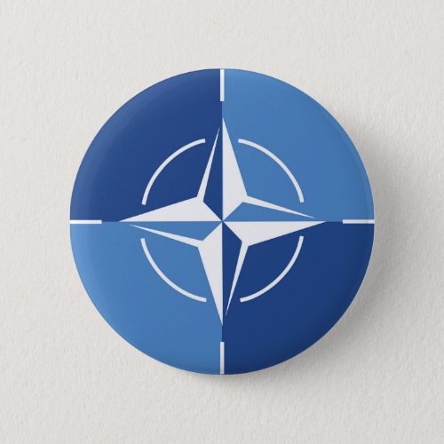 NATO ONAT flag symbol North Atlantic Treaty Organi Button
