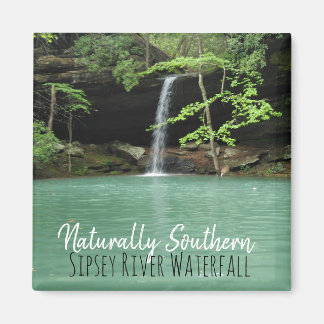 Natrually Southern Sipsey Waterfall Magnet