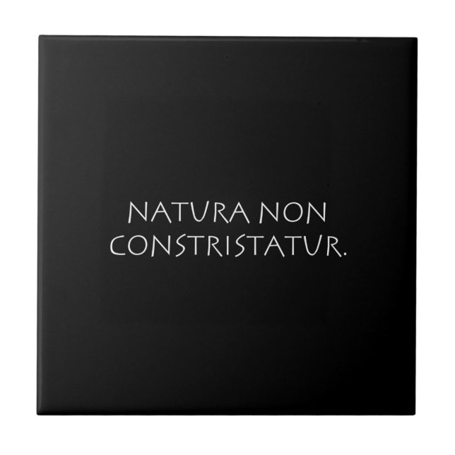 Natura non constristatur ceramic tile (Front)