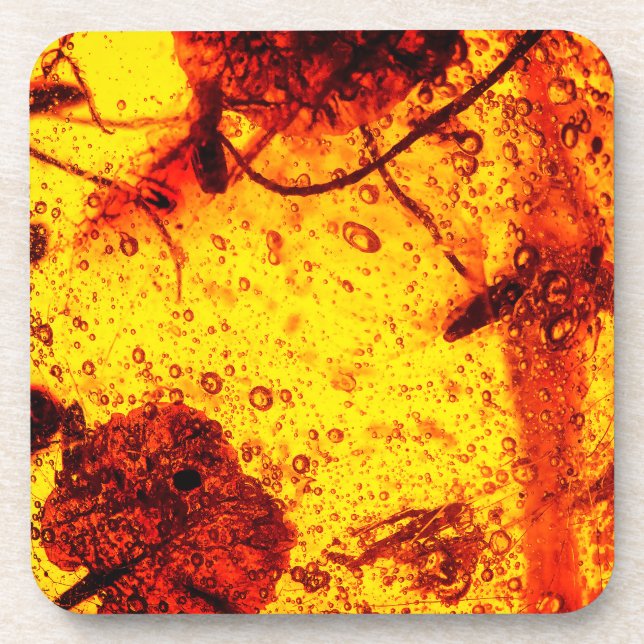 Natural Amber Beverage Coaster (Front)